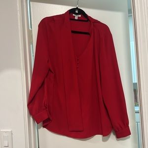 Red Blouse